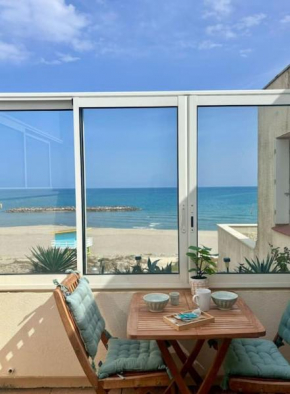 Grand large Appartement terrasse front de mer Barcarès